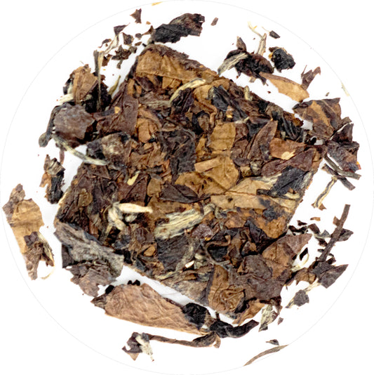 Ann Arbor Oasis (1).jpg