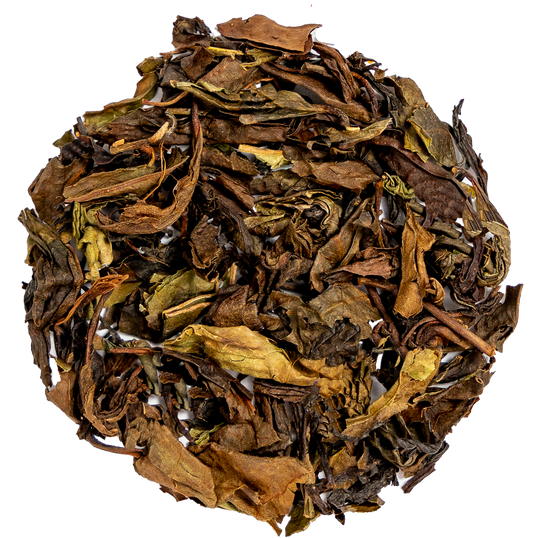 Up North Nilgiri 1.png