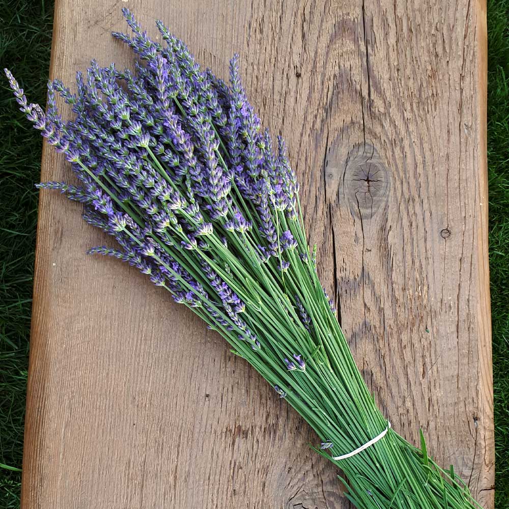 Pure Herbs