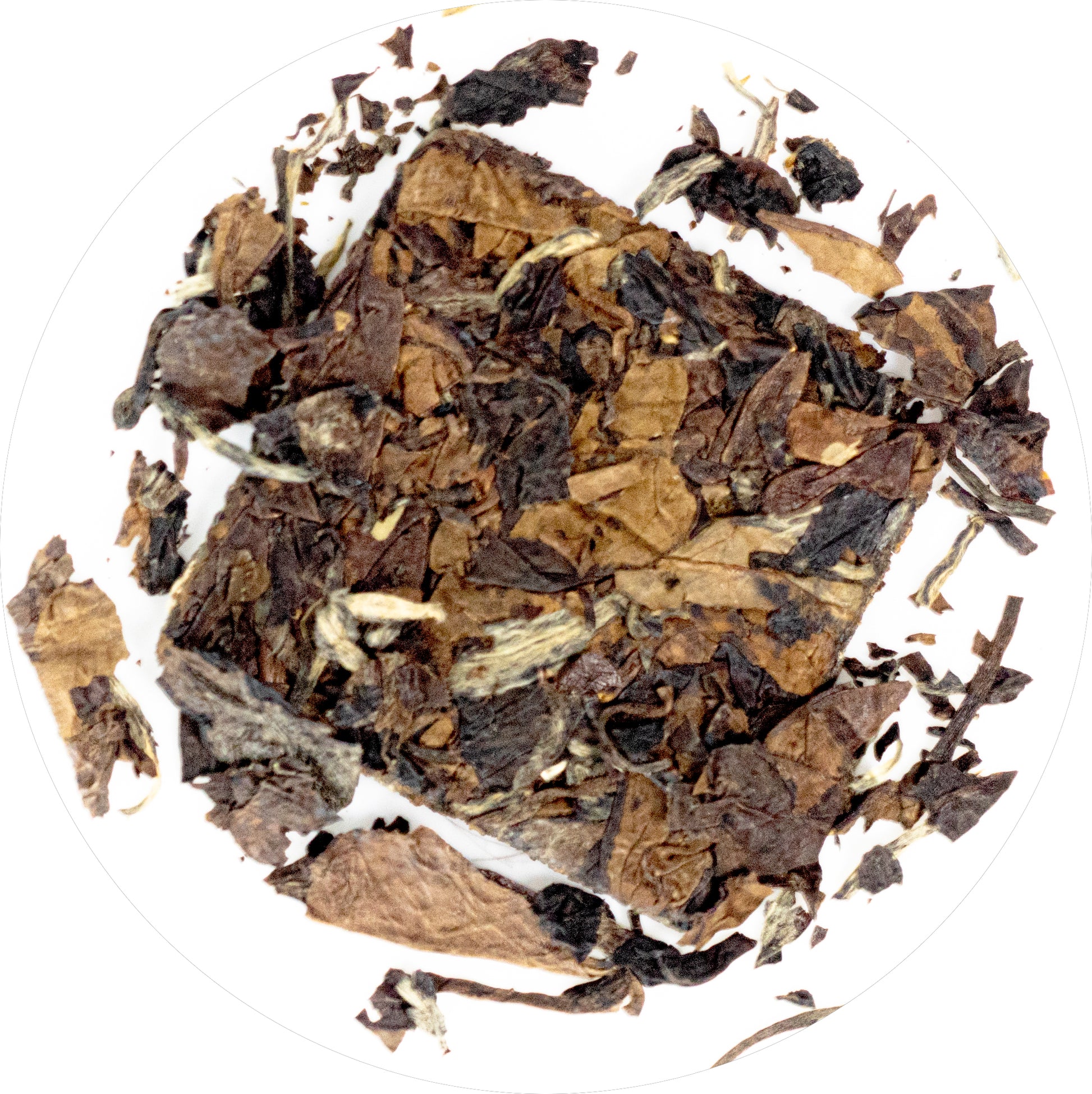 Ann Arbor Oasis (1).jpg