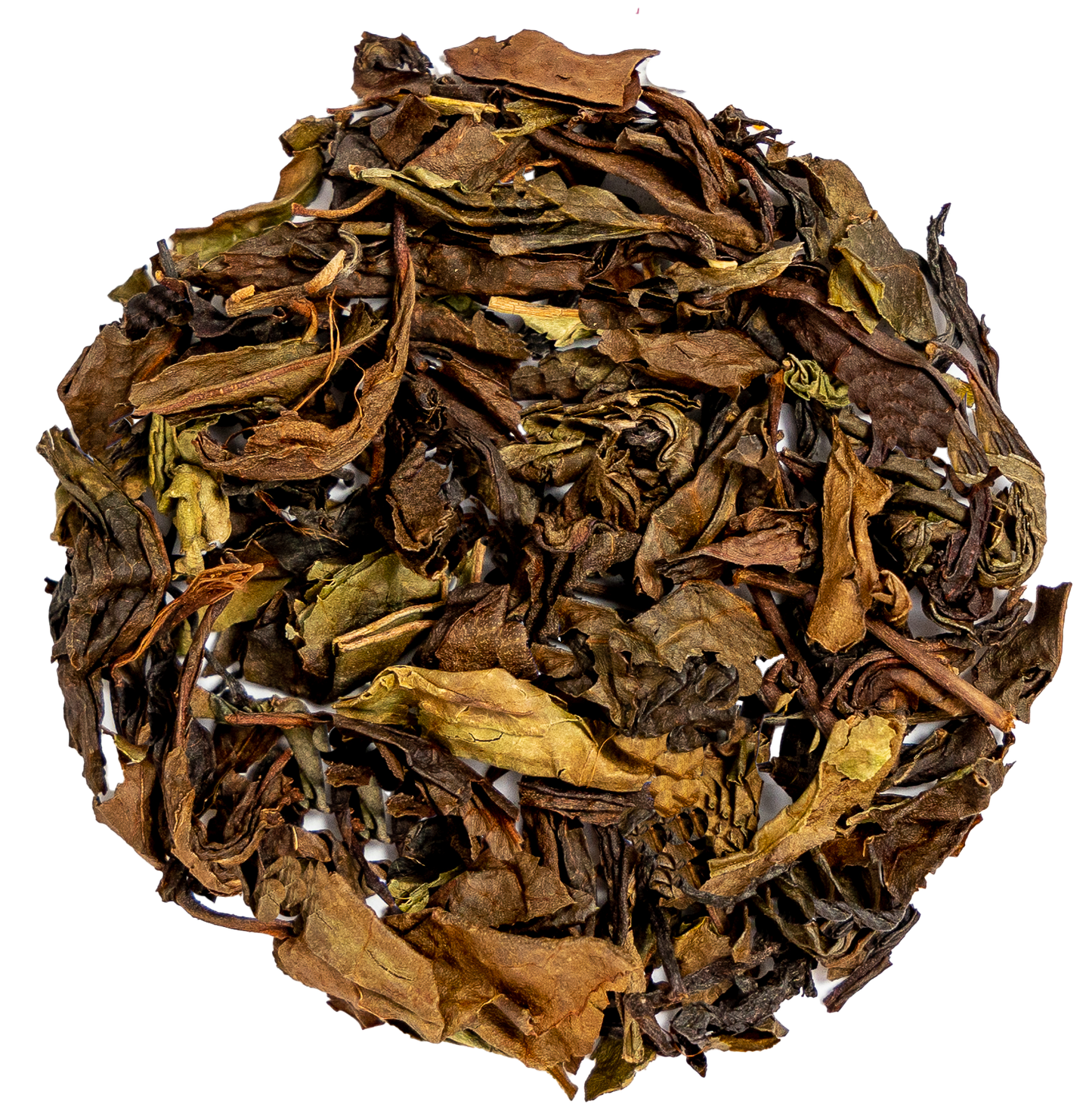 Up North Nilgiri 1.png