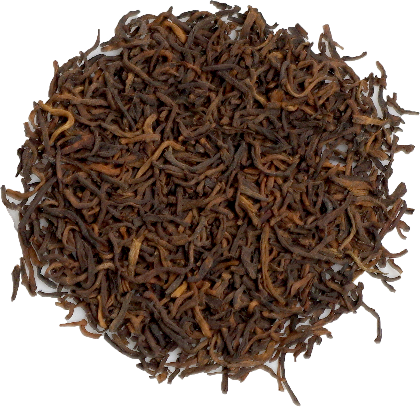 Michigan Strong 2.png