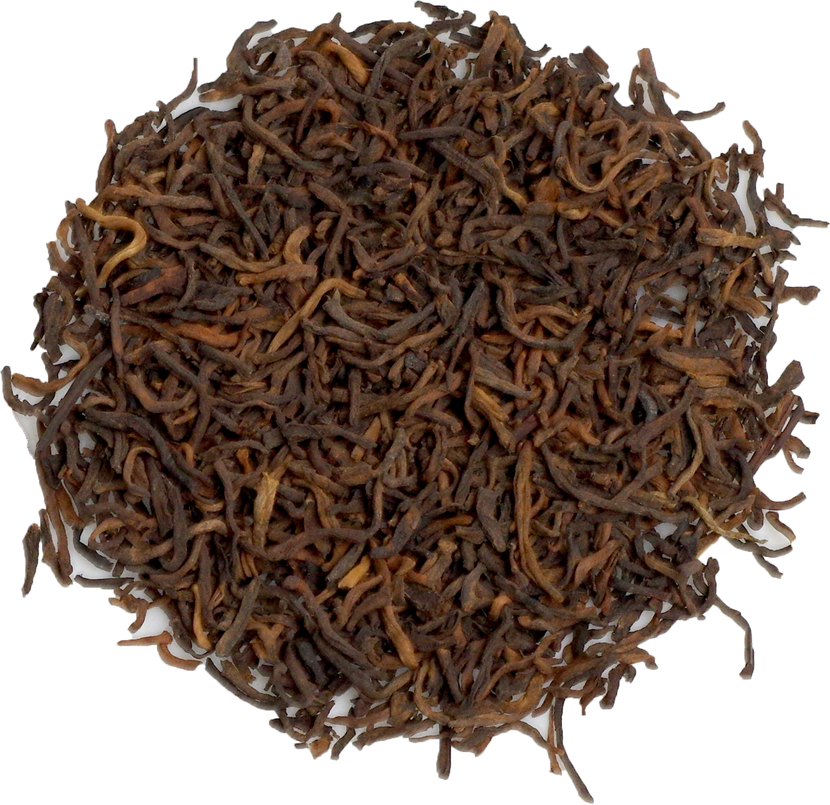 Michigan Strong 2.png