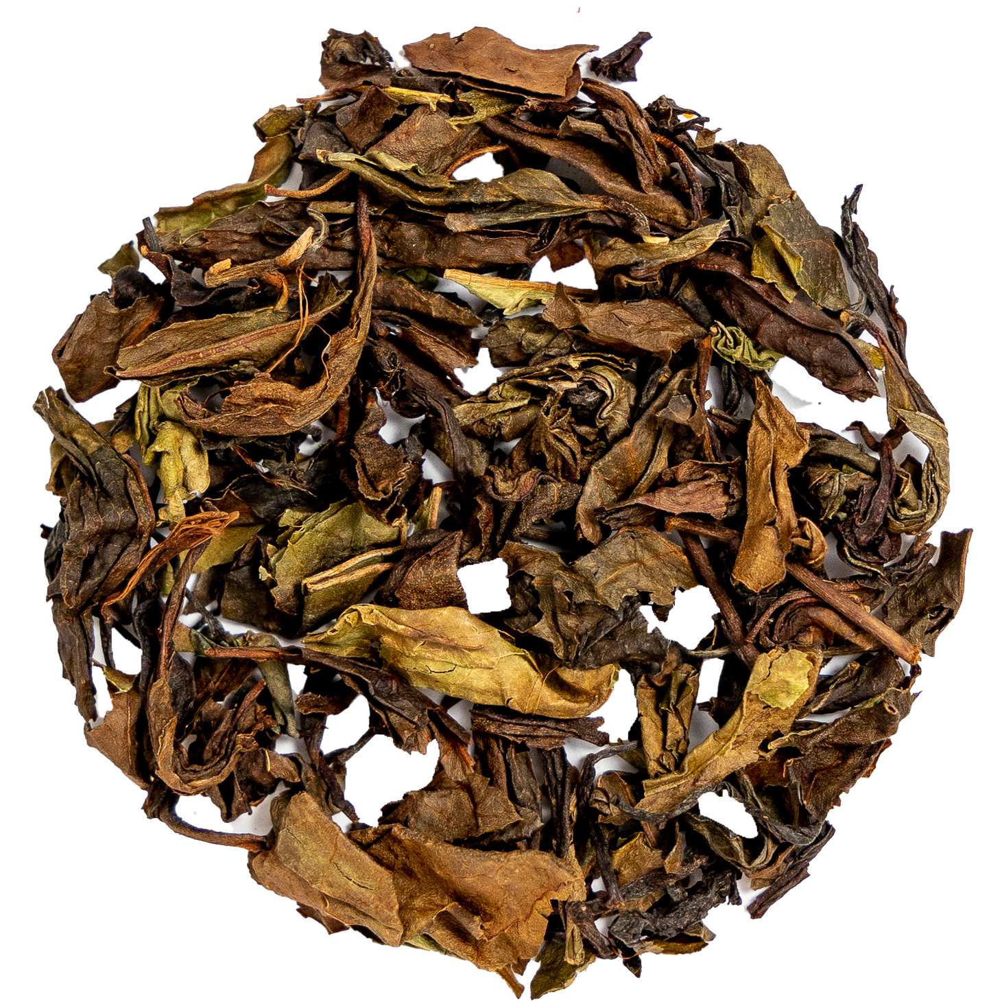 Up North Nilgiri 2.png