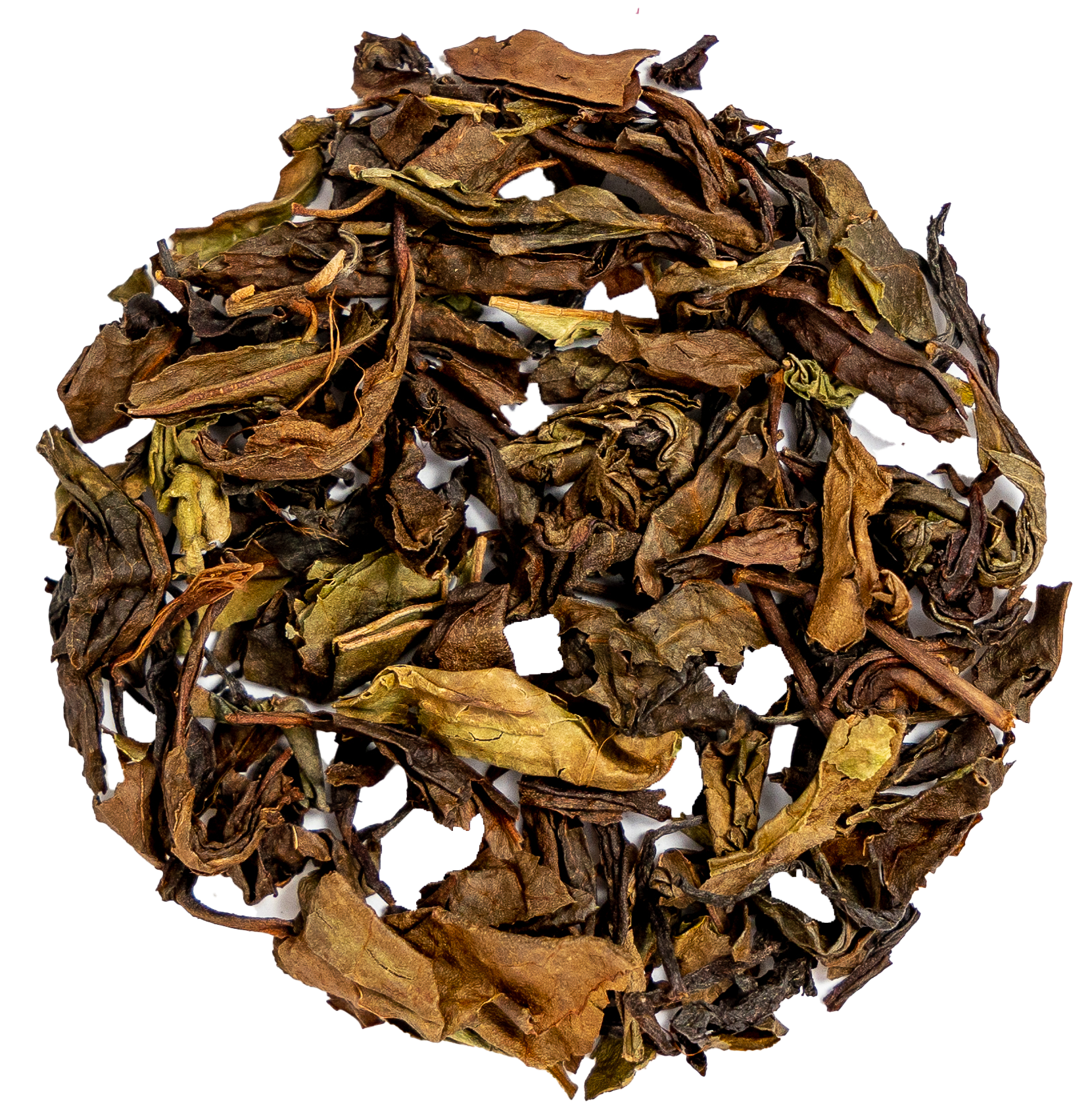 Up North Nilgiri 2.png