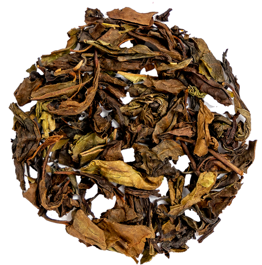 Up North Nilgiri 2.png