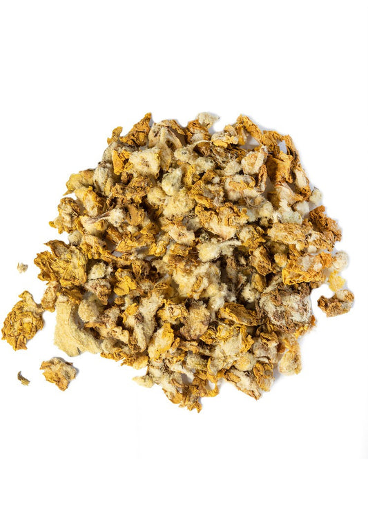 Mullein Flower_edited.jpg